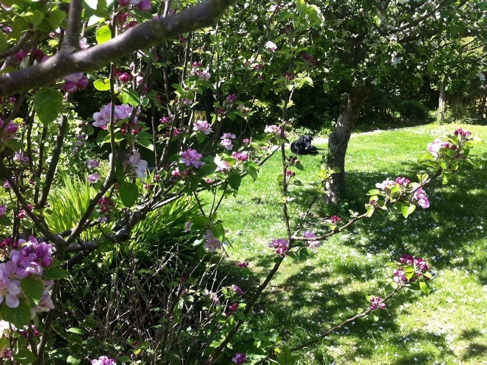 Arbour House B&B Swanage Bagian luar foto